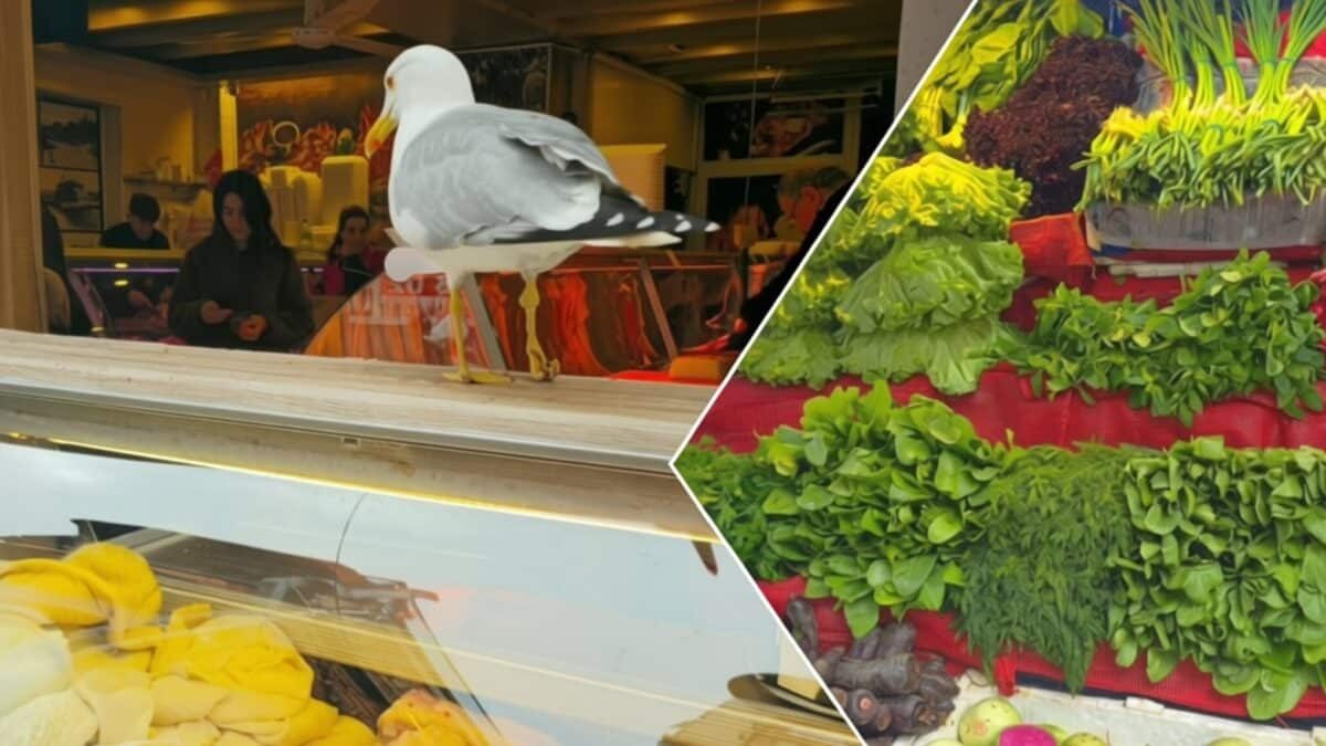 Cumpărăturile în Istanbul sunt cu 26% mai ieftine decât în România