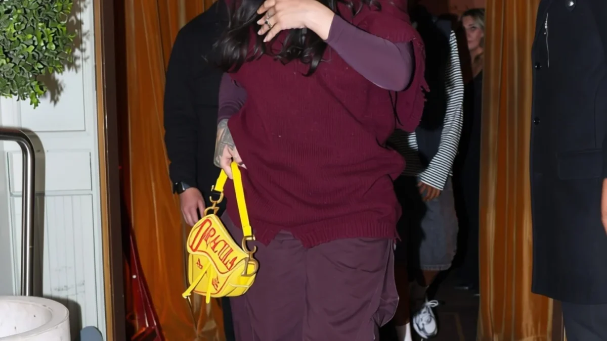 Rihanna a debutat la Paris noua geantă Dior Dracula