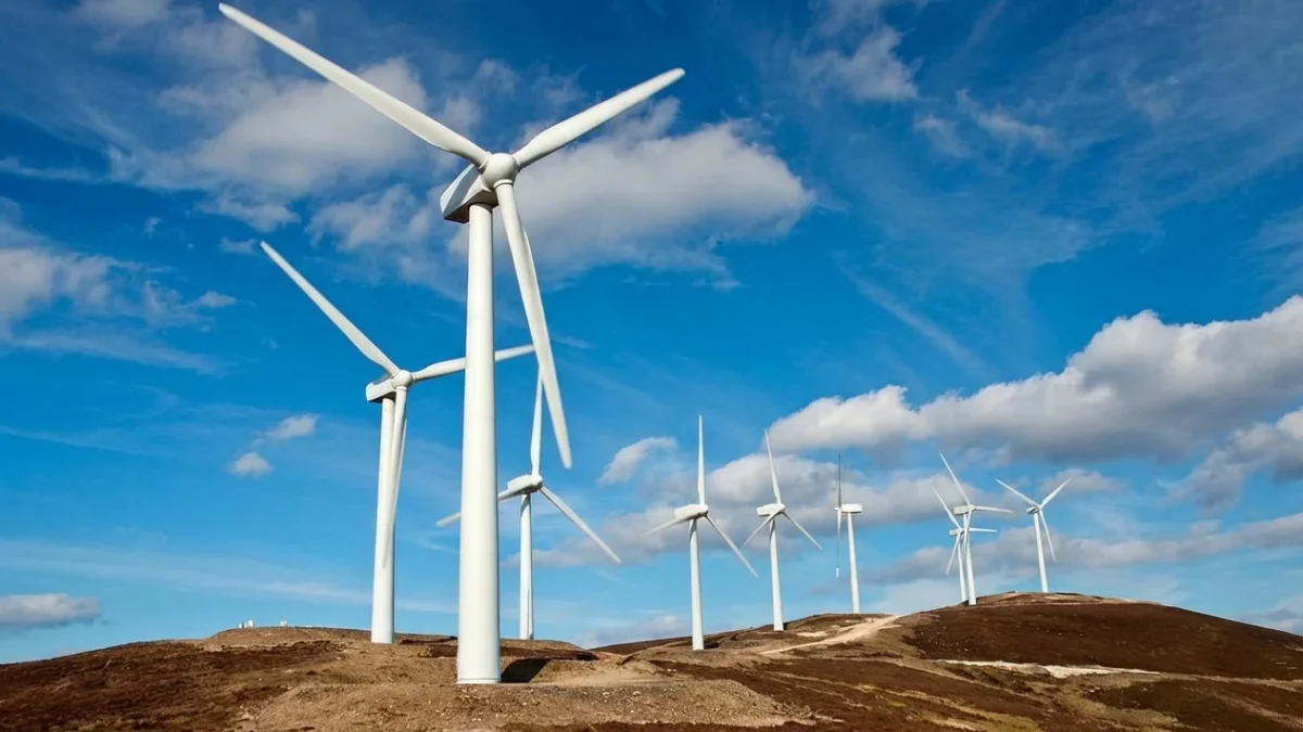 OMV Petrom investește în 3 parcuri eoliene cu o capacitate de 300 MW