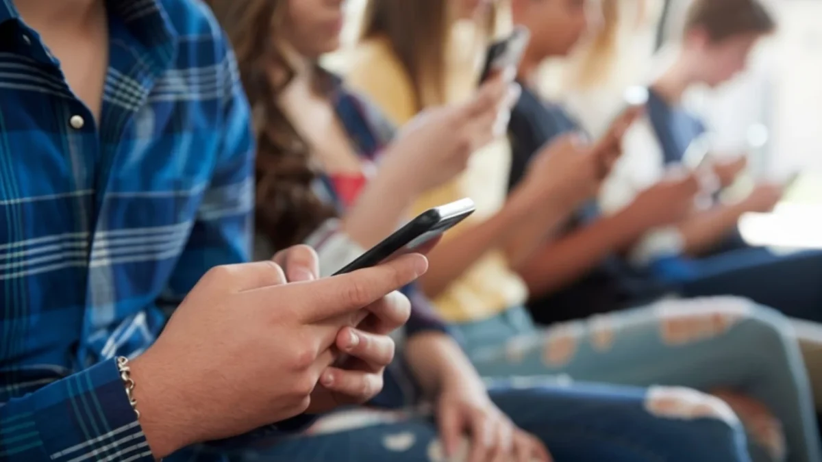 Codul secret 764 și MAP limbajul prădătorilor online de pe TikTok