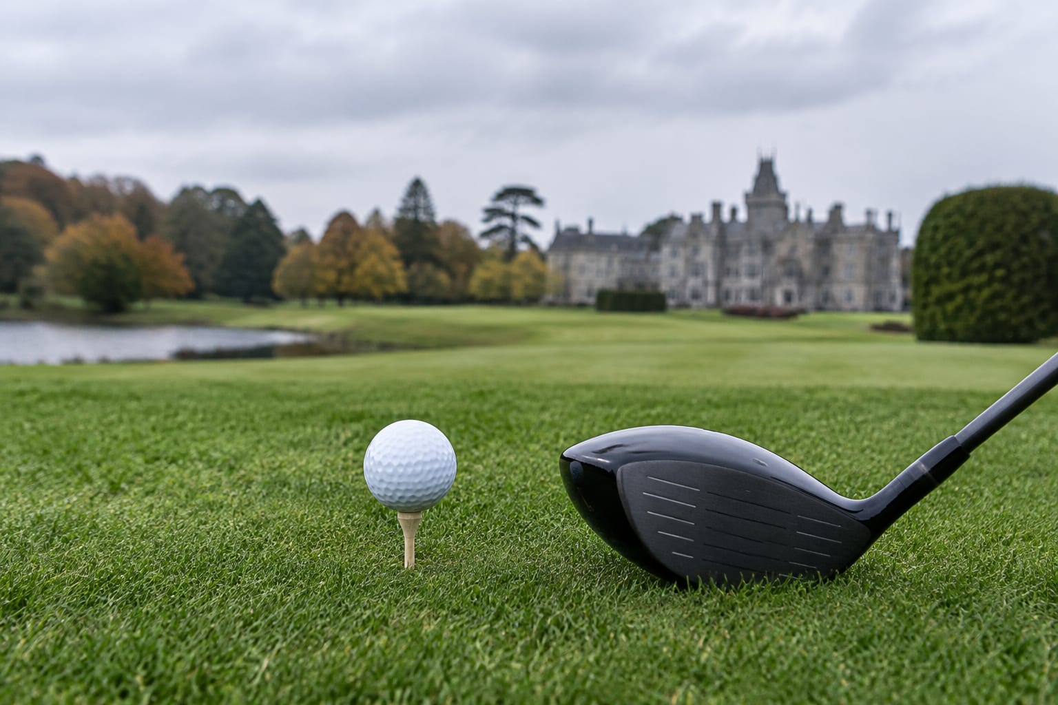 Minge de golf și crosa